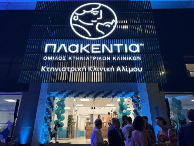 Plakentia Opening